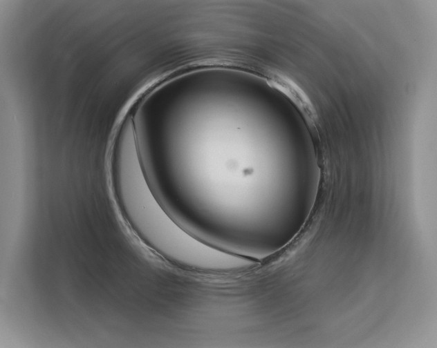 X0000113081138200908281218