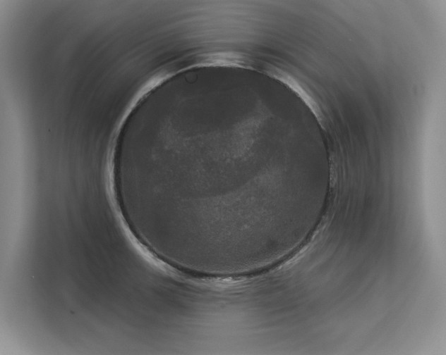 X0000113081139200908281218