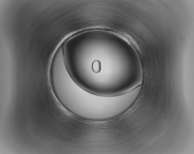 X0000113081140200908281218