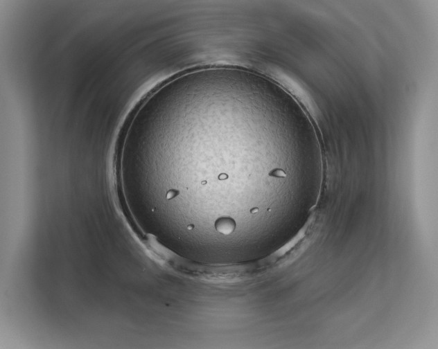 X0000113081141200908281218