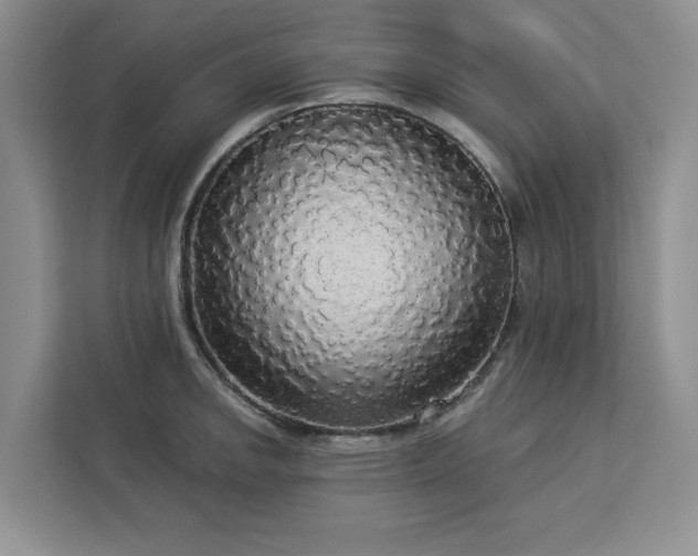 X0000113081142200908281218