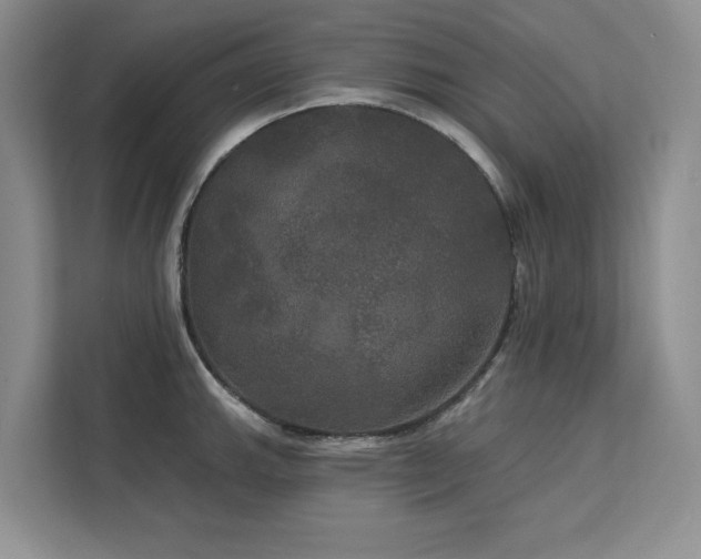 X0000113081143200908281218