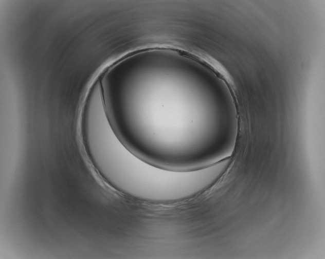 X0000113081144200908281218