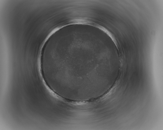 X0000113081147200908281218