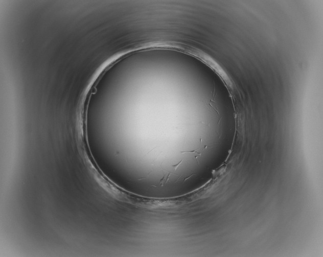 X0000113081148200908281218