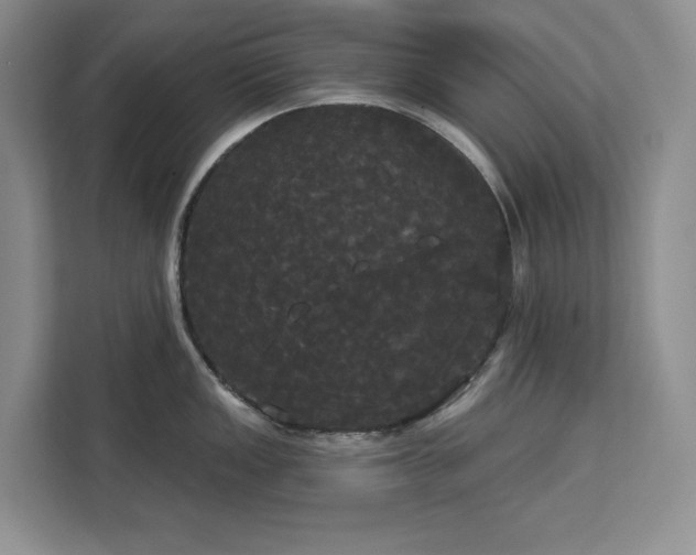 X0000113081149200908281218