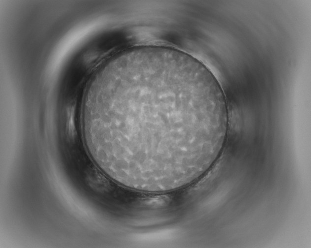 X0000113081150200908281218