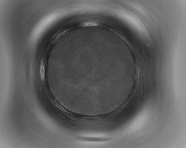 X0000113081151200908281218