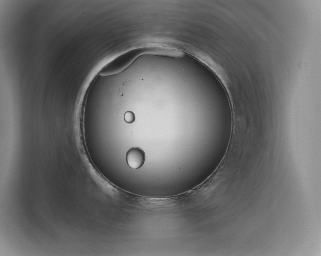 X0000113081152200908281218