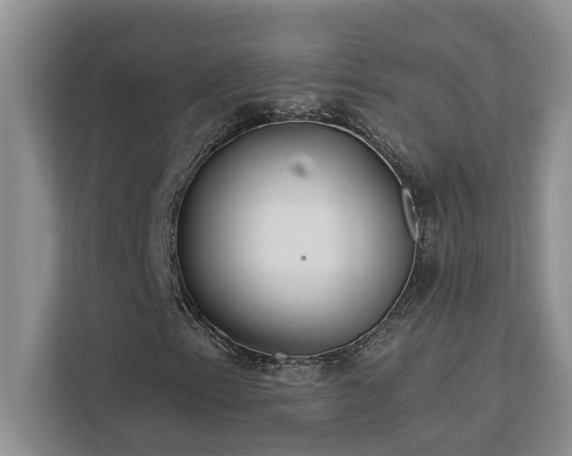 X0000113081153200908281217