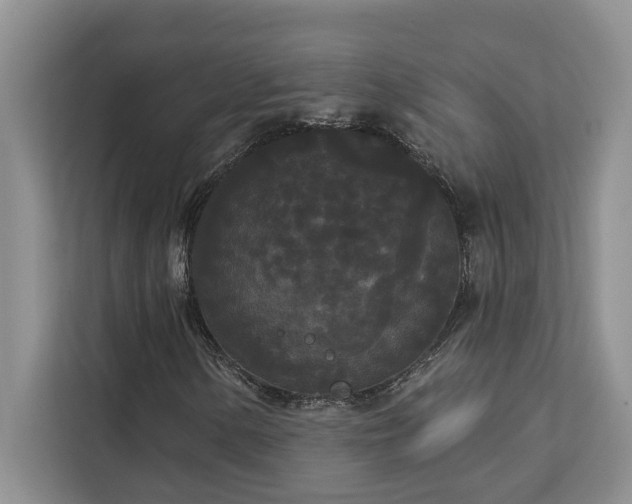 X0000113081154200908281217