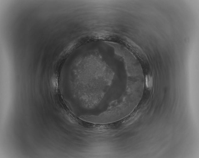 X0000113081155200908281217