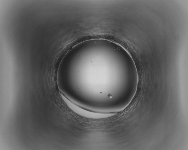 X0000113081157200908281217