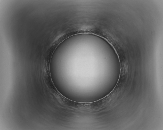 X0000113081158200908281217