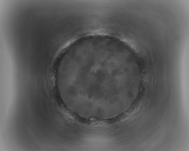 X0000113081159200908281217