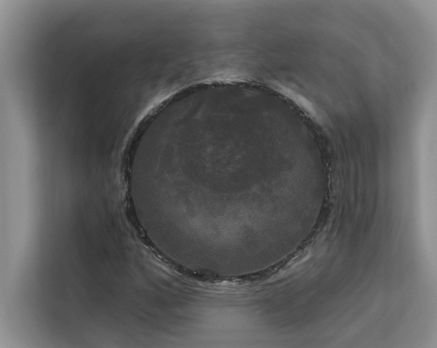 X0000113081160200908281217