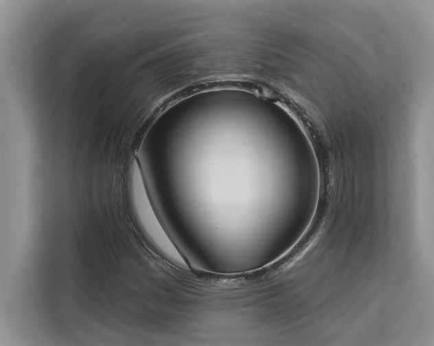 X0000113081161200908281217