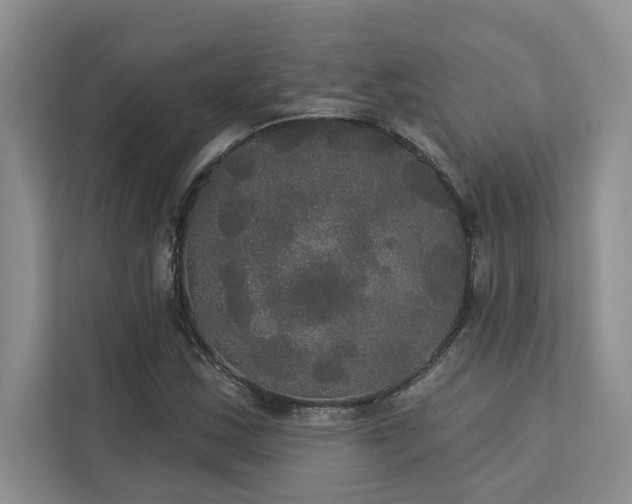 X0000113081163200908281217