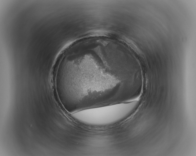 X0000113081164200908281217