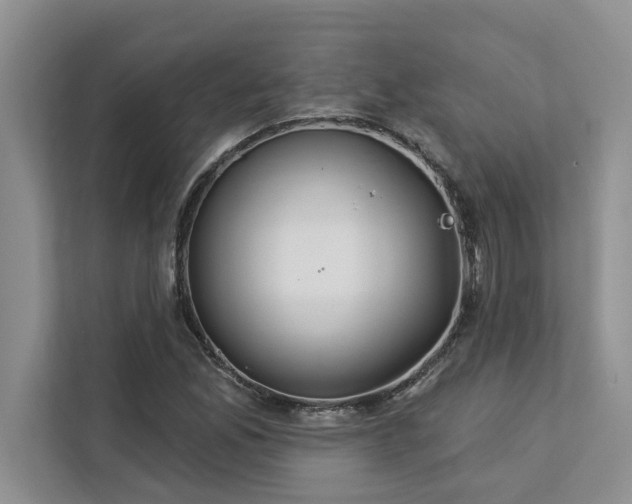 X0000113081165200908281217