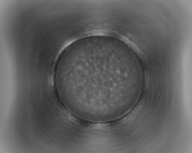 X0000113081166200908281217