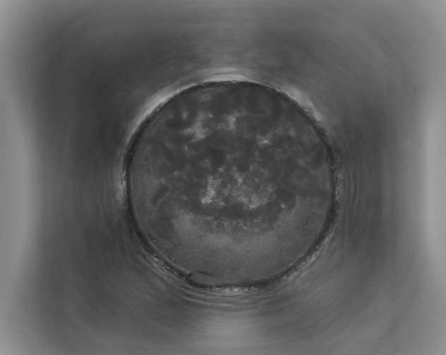 X0000113081167200908281217