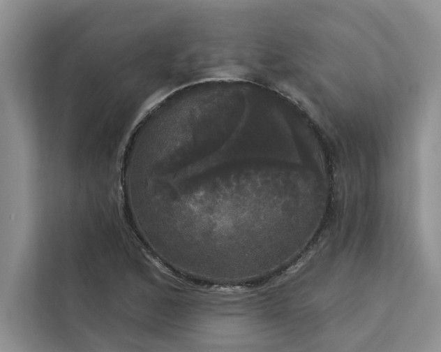 X0000113081168200908281217