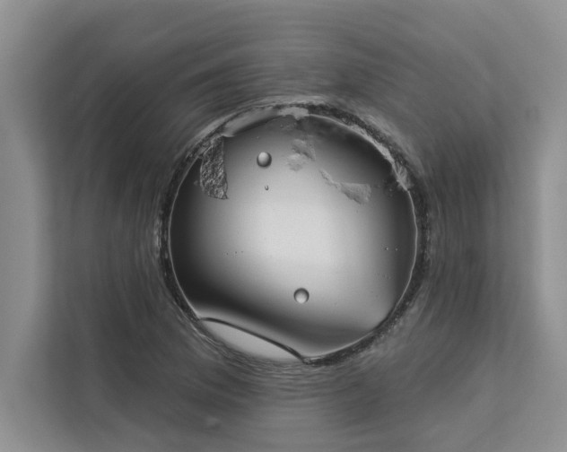 X0000113081169200908281217