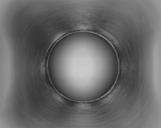 X0000113081170200908281217