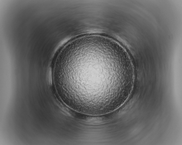 X0000113081171200908281217