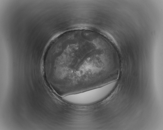 X0000113081172200908281217