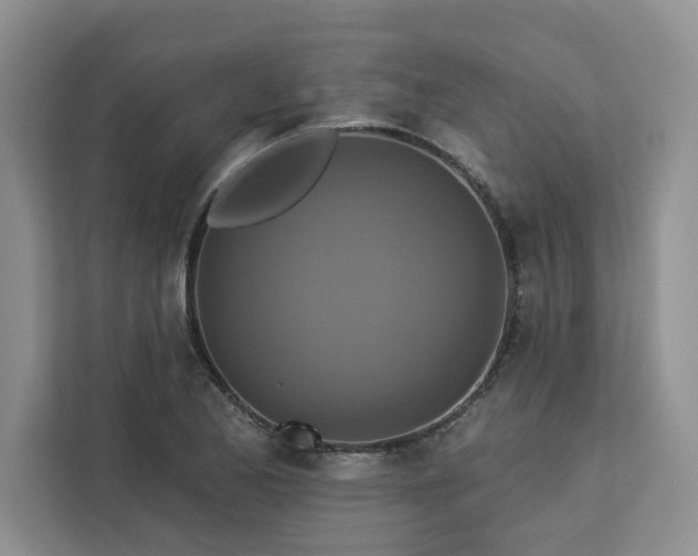 X0000113081173200908281217