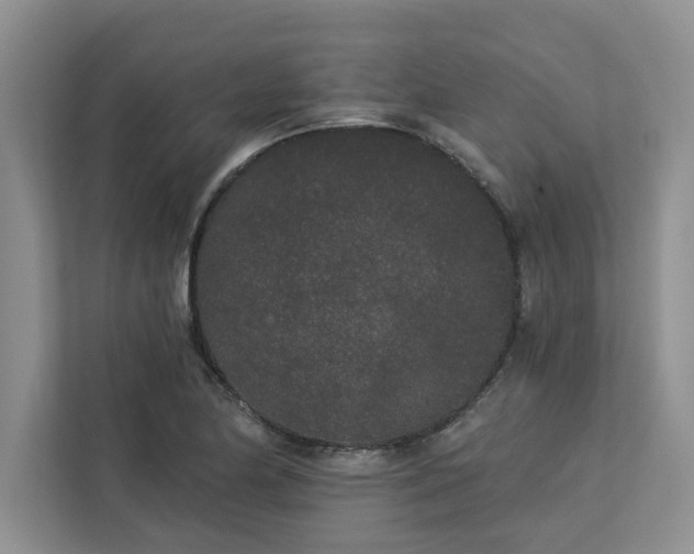 X0000113081174200908281217