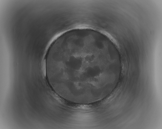 X0000113081175200908281217