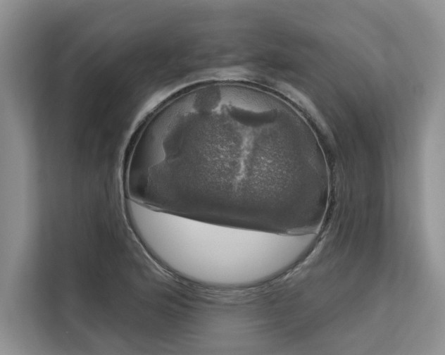 X0000113081176200908281217