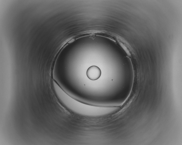 X0000113081177200908281217