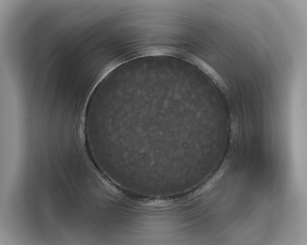 X0000113081178200908281217