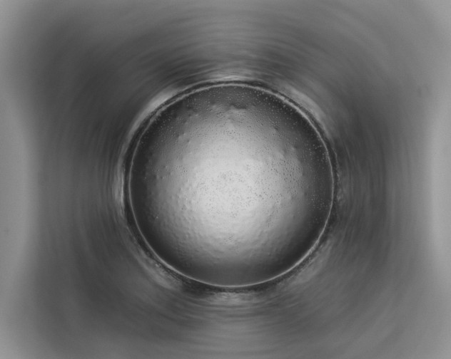 X0000113081179200908281217