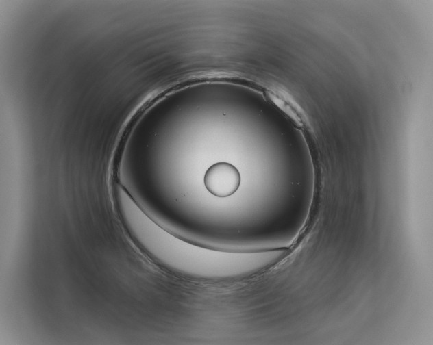 X0000113081181200908281217