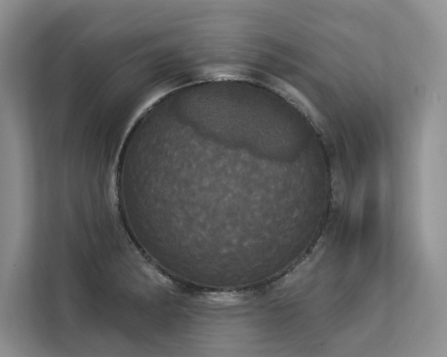 X0000113081182200908281217