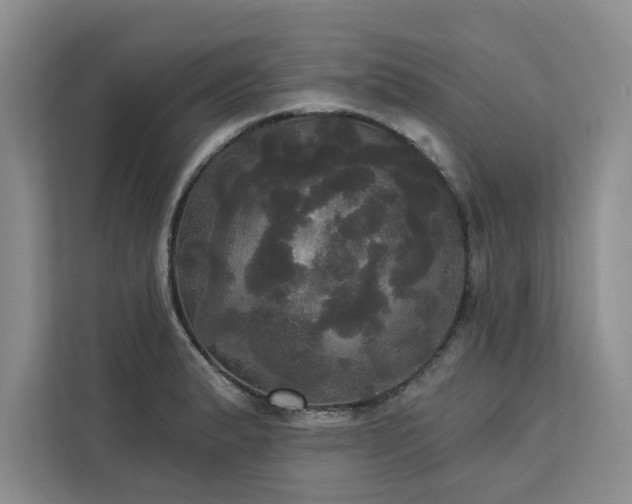 X0000113081183200908281217