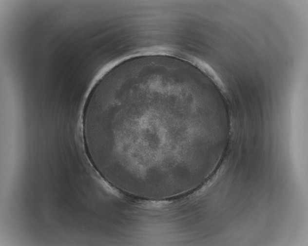 X0000113081184200908281217