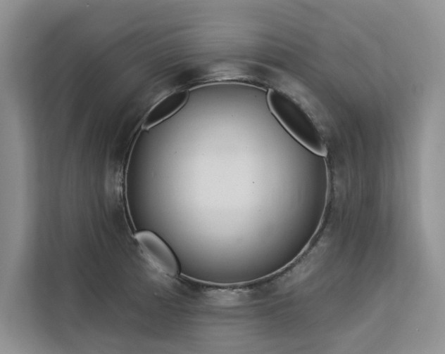 X0000113081185200908281217