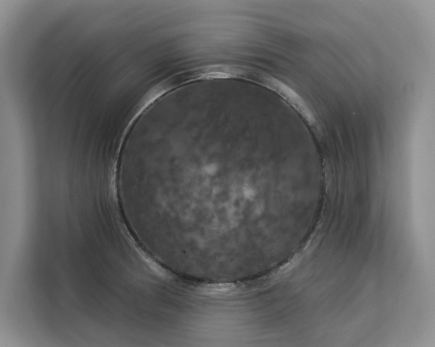 X0000113081186200908281217