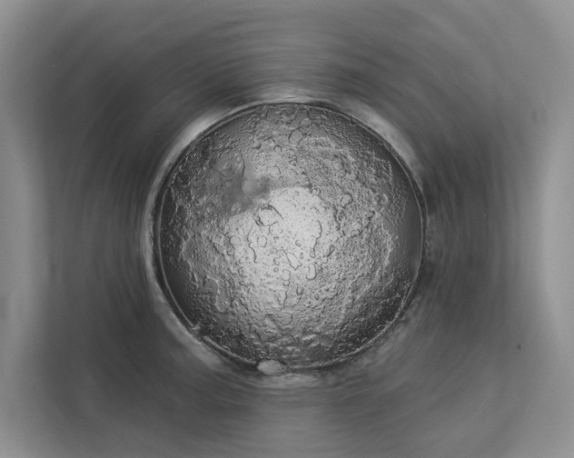 X0000113081187200908281217