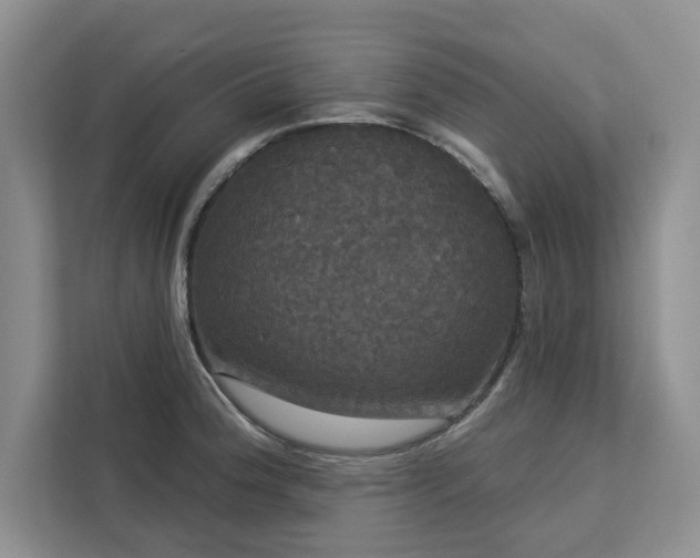 X0000113081188200908281217