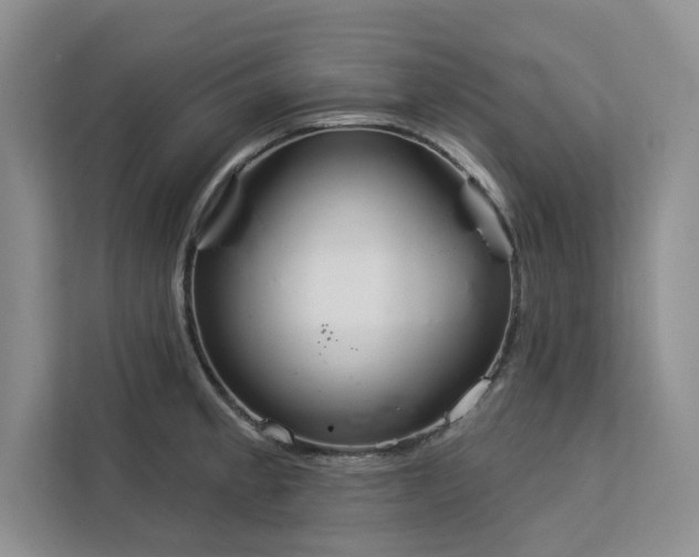 X0000113081189200908281217