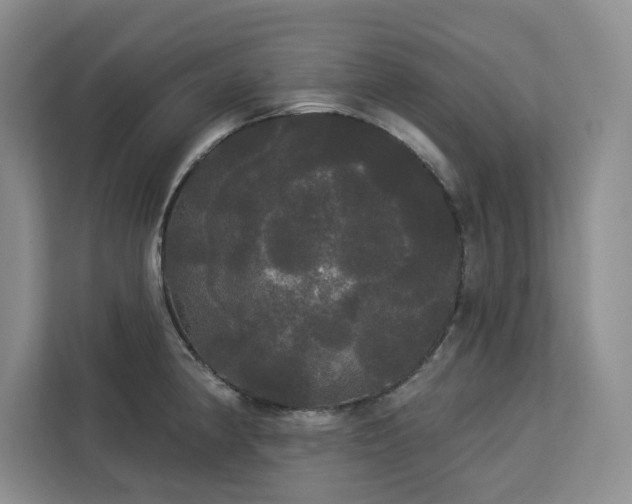 X0000113081190200908281217