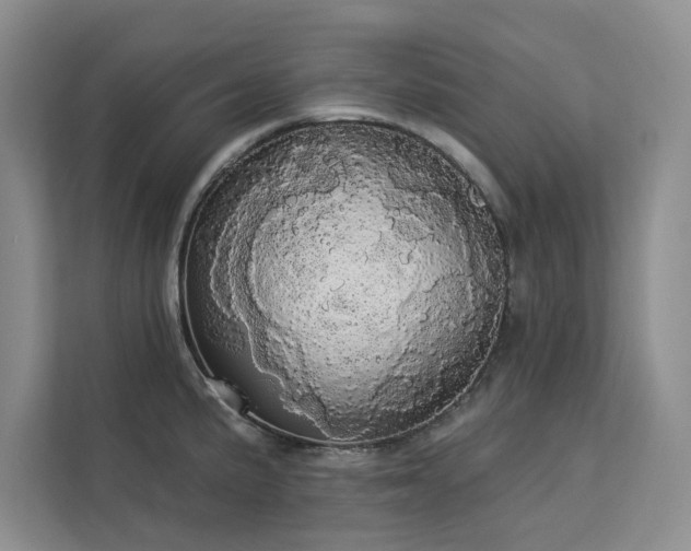 X0000113081191200908281217