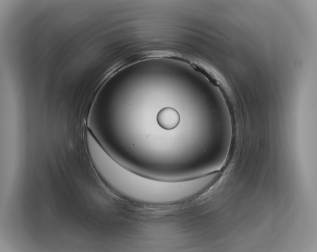 X0000113081193200908281217